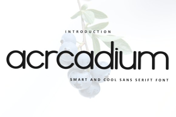 Acrcadium: A Modern Sans Serif for Editorial Design