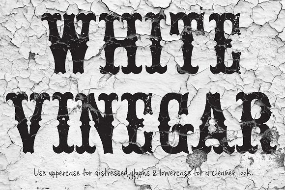 White Vinegar Font for a Timeless Editorial Look